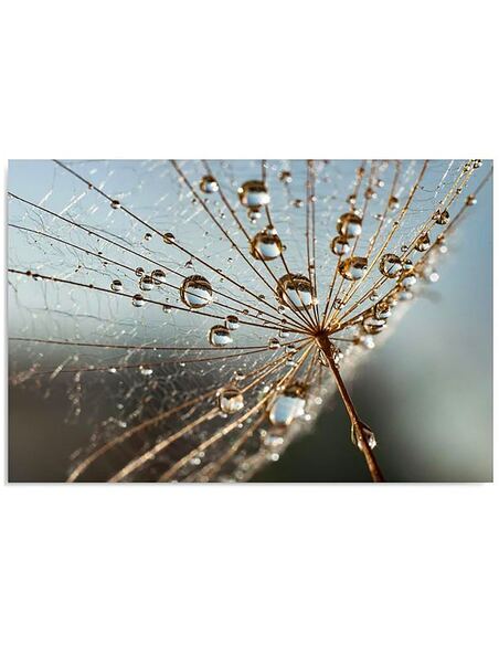 Tableau DES GOUTTES DE ROSÉE SUR LA PLANTE imprimé sur bois - par Feeby