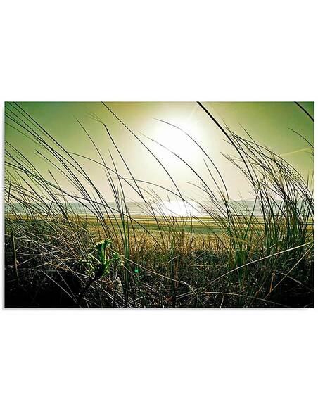 Tableau HERBE CÔTIÈRE imprimé sur toile - par Feeby