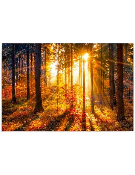 Tableau COUCHER DU SOLEIL DE LA FORÊT imprimé sur toile - par Feeby