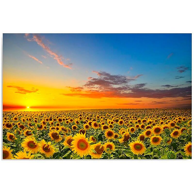 Tableau PAYSAGE TOURNESOLS imprimé sur toile - par Feeby