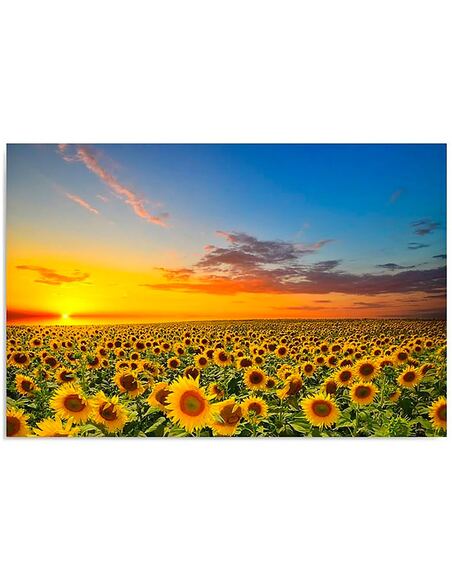 Tableau PAYSAGE TOURNESOLS imprimé sur toile - par Feeby