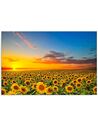 Tableau PAYSAGE TOURNESOLS imprimé sur toile - par Feeby