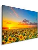 Tableau PAYSAGE TOURNESOLS imprimé sur toile - par Feeby