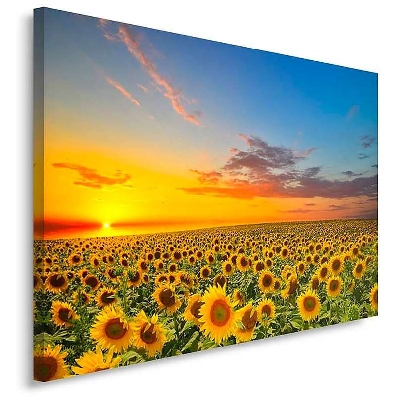 Tableau PAYSAGE TOURNESOLS imprimé sur toile - par Feeby