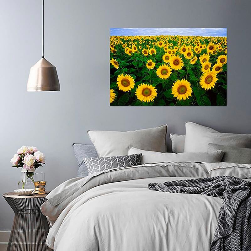 Tableau champ de tournesols accroché au-dessus d'un lit dans une chambre