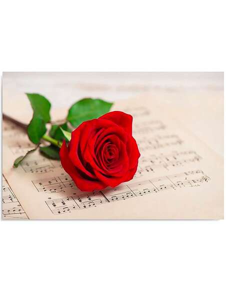 Tableau ROSE SUR DES NOTES imprimé sur toile - par Feeby