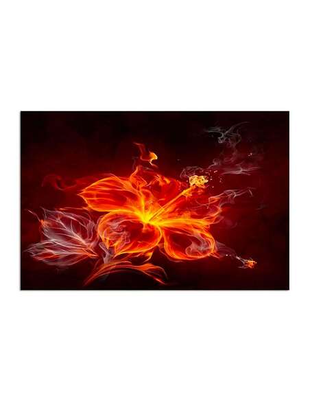 Tableau FLEUR DE FEU imprimé sur toile - par Feeby