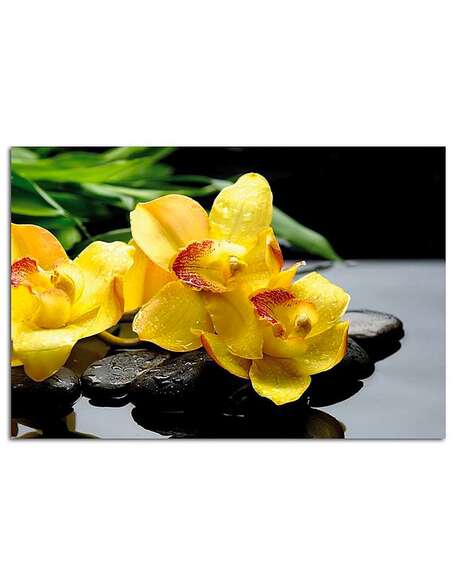 Tableau ORCHIDÉES JAUNES imprimé sur toile - par Feeby