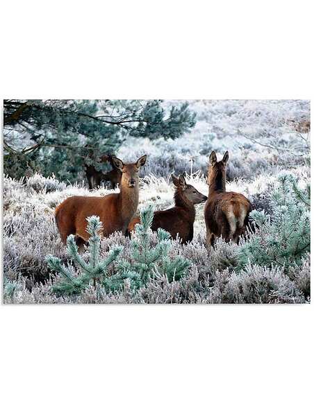 Tableau LES CERFS ET HOARFROST imprimé sur toile - par Feeby