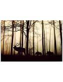 Tableau LES ANIMAUX DANS LA FORÊT imprimé sur toile - par Feeby