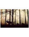 Tableau LES ANIMAUX DANS LA FORÊT imprimé sur toile - par Feeby
