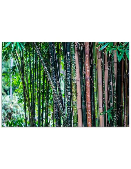 Tableau BAMBOU 3 imprimé sur toile - par Feeby