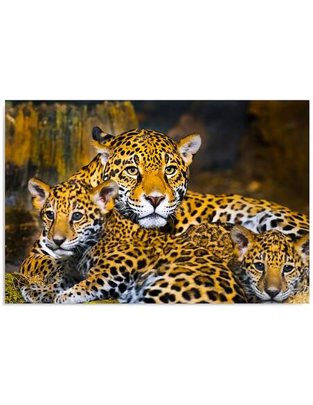 Tableau FAMILLE LÉOPARDS imprimé sur toile - par Feeby