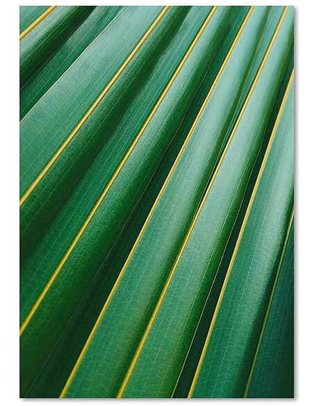 Tableau FRAGMENT D’UNE FEUILLE imprimé sur toile - par Feeby