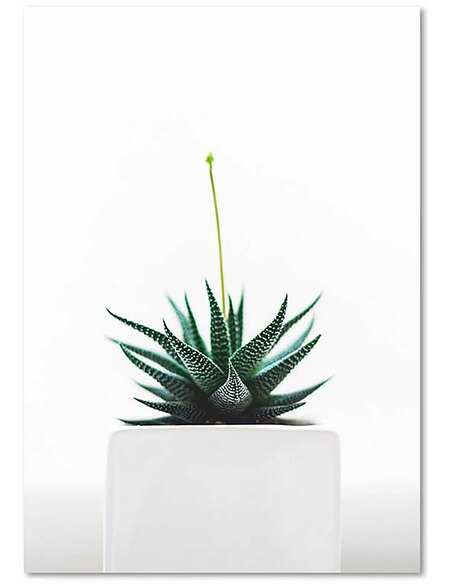 Tableau PLANT imprimé sur toile - par Feeby