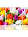 Composition de 5 tableaux TULIPES COLORÉES imprimé sur toile - par Feeby