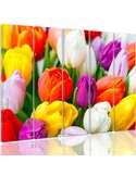 Composition de 5 tableaux TULIPES COLORÉES imprimé sur toile - par Feeby