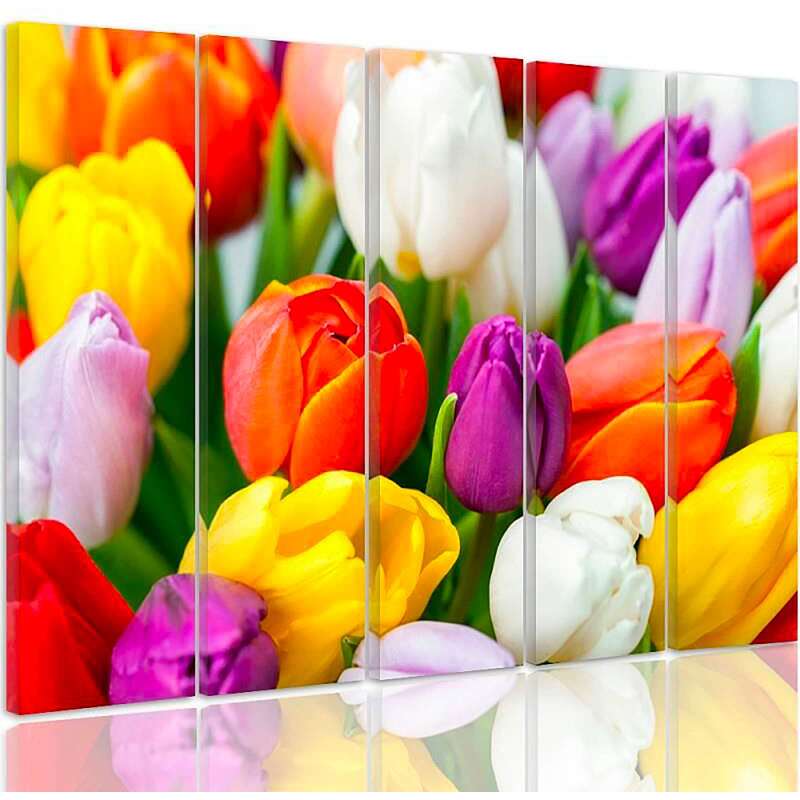Composition de 5 tableaux TULIPES COLORÉES imprimé sur toile - par Feeby