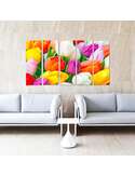 Composition de 5 tableaux TULIPES COLORÉES imprimé sur toile - par Feeby