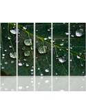 Composition de 5 tableaux GOUTTES DE PLUIE SUR UNE FEUILLE imprimé sur toile - par Feeby