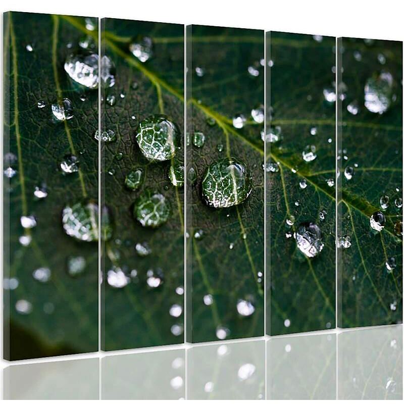 Composition de 5 tableaux GOUTTES DE PLUIE SUR UNE FEUILLE imprimé sur toile - par Feeby