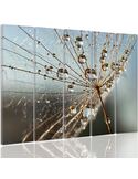 Composition de 5 tableaux DES GOUTTES DE ROSÉE ET COBWEB imprimé sur toile - par Feeby