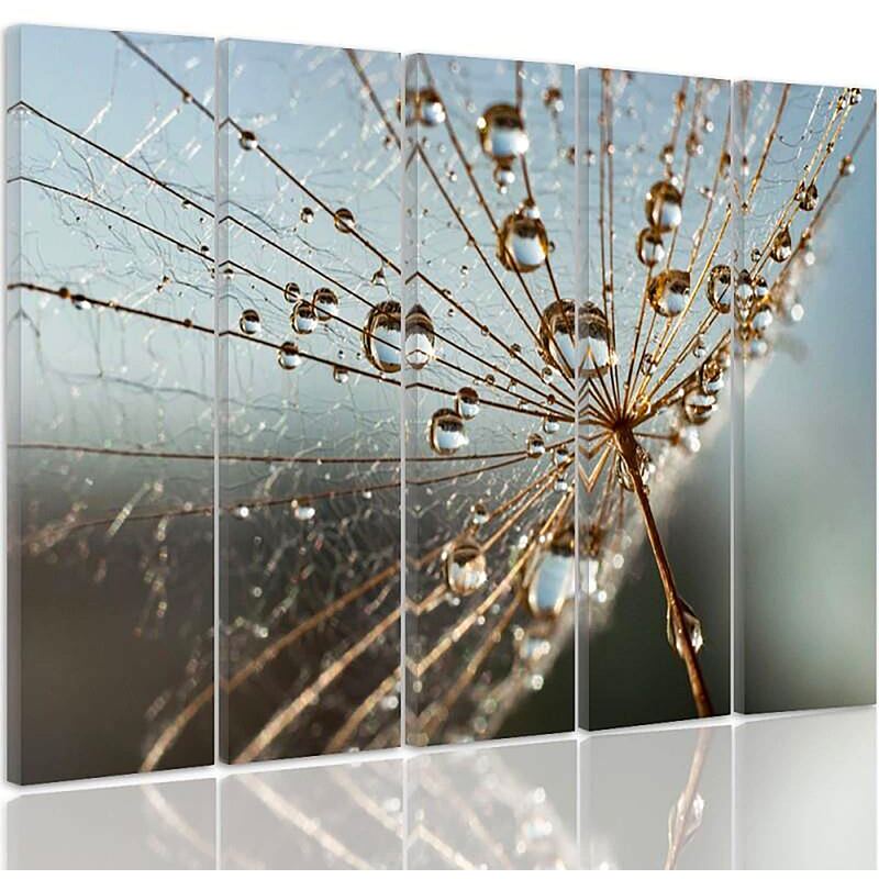 Composition de 5 tableaux DES GOUTTES DE ROSÉE ET COBWEB imprimé sur toile - par Feeby