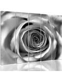 Composition de 5 tableaux FLEUR ROSE imprimé sur toile - par Feeby