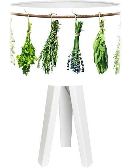 Lampe de chevet Bothanica Vert