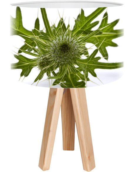 Lampe de chevet Bothanica Vert