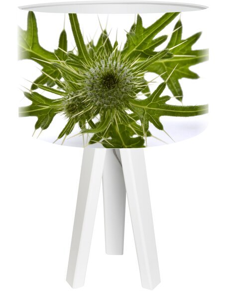 Lampe de chevet Bothanica Vert
