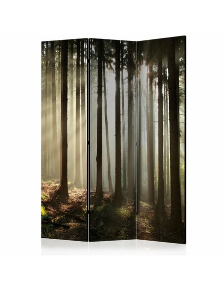 Paravent 3 volets CONIFEROUS FOREST  | Artgeist |