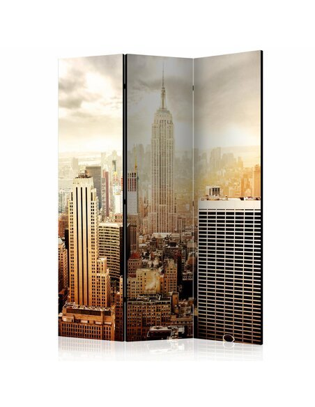 Paravent 3 volets UNCOMBED BY WIND  | Artgeist |