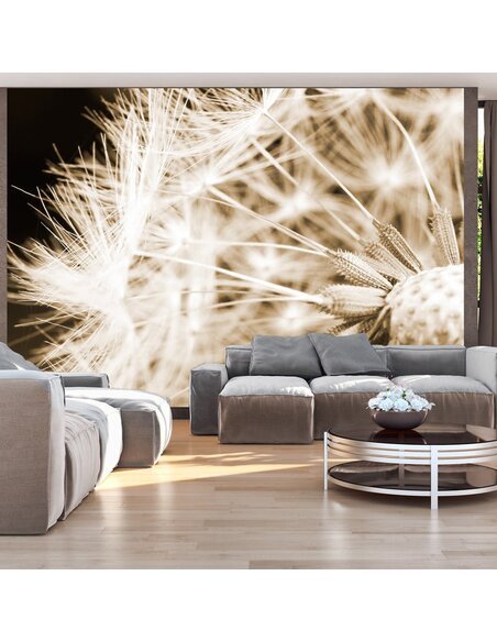 Papier peint DANDELION sepia 