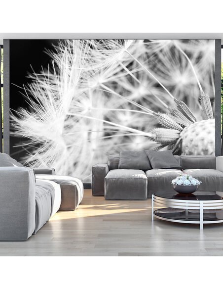Papier peint PISSENLIT EN NOIR ET BLANC 
