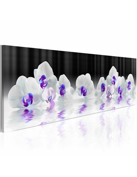 Tableau WATER ORCHIDS 