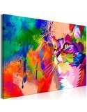 Tableau COLOURFUL CAT WIDE 