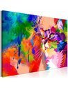 Tableau COLOURFUL CAT WIDE 