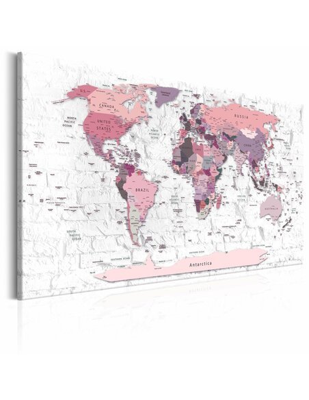 Tableau PINK FRONTIERS 