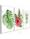 Tableau RED HIBISCUS 
