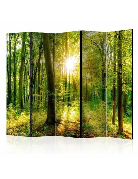 Paravent 5 volets FOREST RAYS 