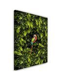 Tableau XXL macaw Image Decor tropical imprimé sur toile