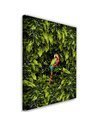 Tableau XXL macaw Image Decor tropical imprimé sur toile