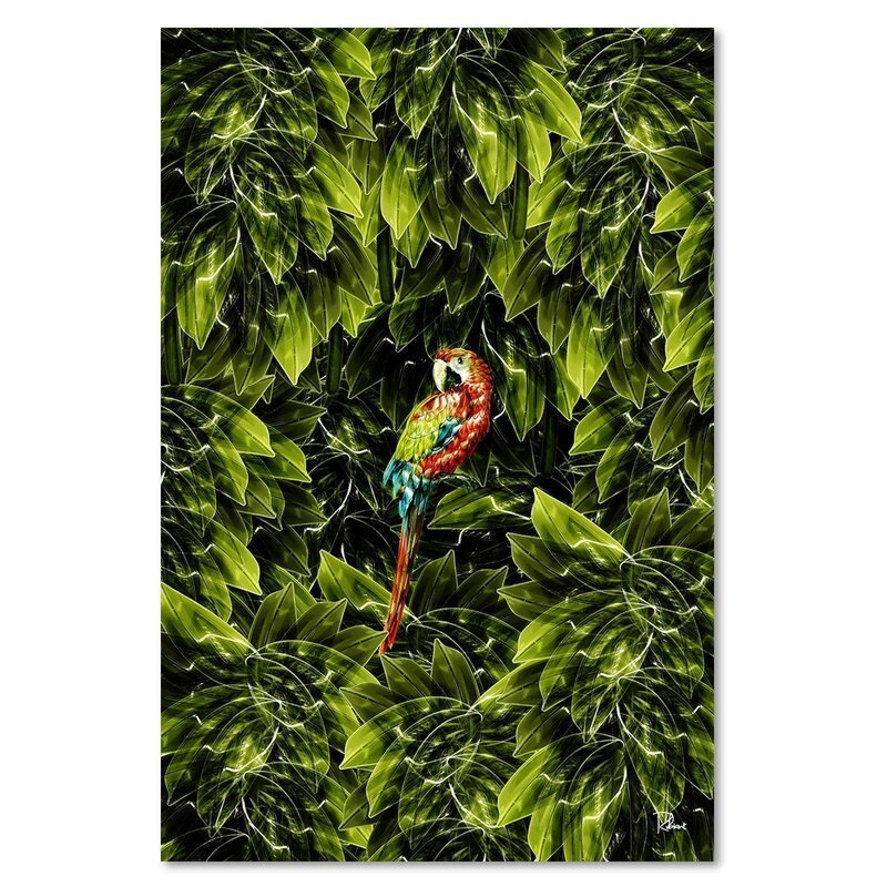 Tableau XXL macaw Image Decor tropical imprimé sur toile