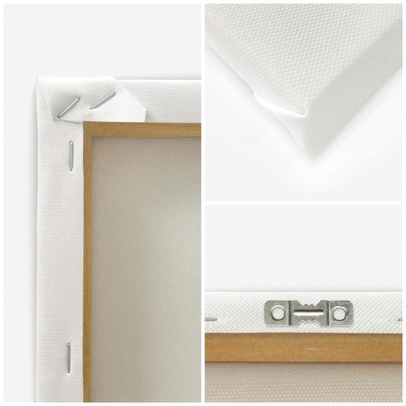 Tableau XXL macaw Image Decor tropical imprimé sur toile