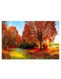 Tableau paysage d'automne aux arbres orangés sous un soleil levant