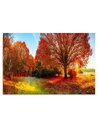 Tableau paysage d'automne aux arbres orangés sous un soleil levant
