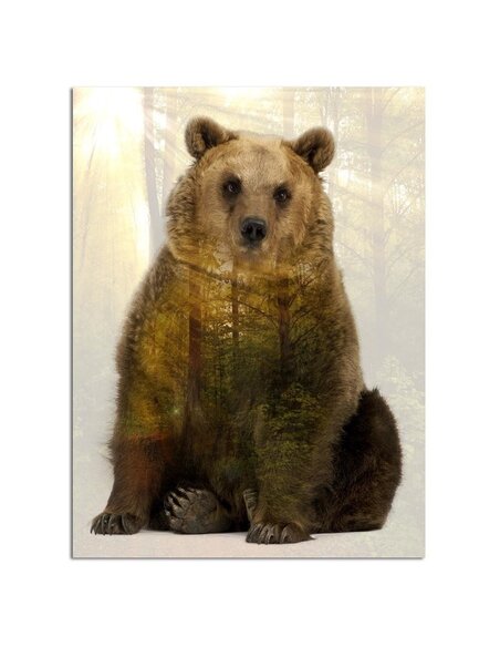 Tableau Brown Bear