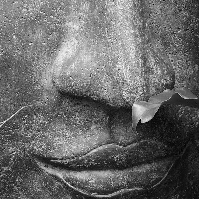 Tableau Buddha Face With A Leaf 3