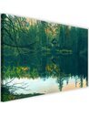 Tableau maison du lac 3 vert